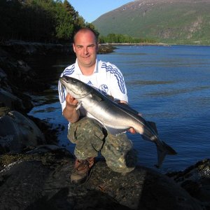 Bofjorden