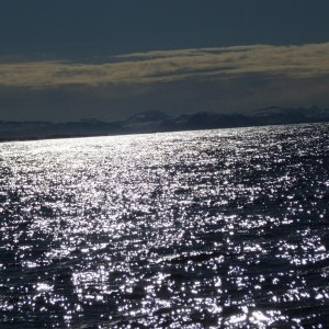 P1000081