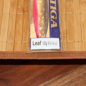IMG 9483
