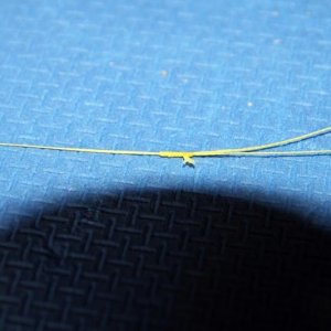 IMG 9519