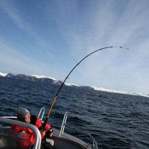 IMG_6612.jpg