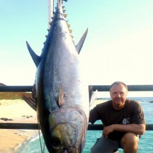 Bigeye Tuna