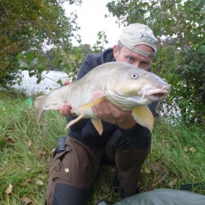 Schöne 5kg Barbe