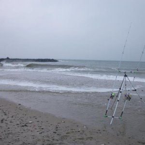 vrist 74
am Strand von Harboöre, Flut, im November 2014