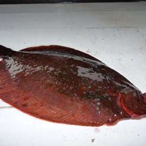 P1010151