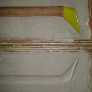 Nahaufnahme Schwänze