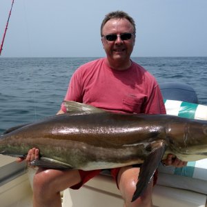 Cobia 45kg /177cm!