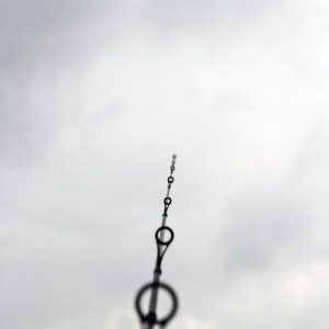IMG 0863