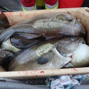 IMG 20160330 WA0011