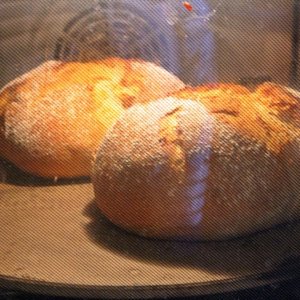 IMG_6245