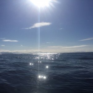 IMG-20170422-WA0017