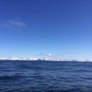 IMG-20170422-WA0018