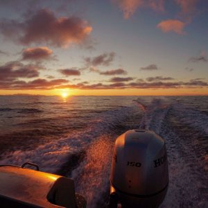 IMG-20180220-WA0047