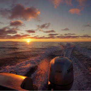 IMG-20180224-WA0009