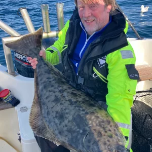 Medium 'Havøysund 2025' in der Kategorie 'Nordnorwegen'