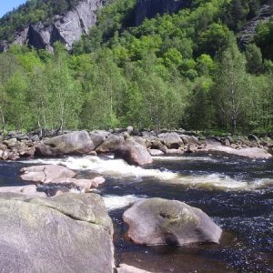 Kvinaelva