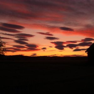 sonnenAUFgang