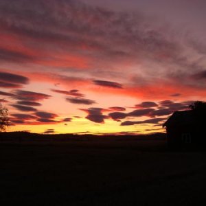 sonnenAUFgang / oysand
