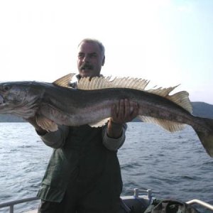 Seehecht 001
