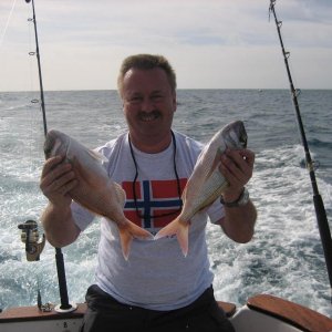 Gran Canaria 2003
Schöne Fische für die Pfanne