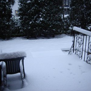 Moers am 05.01.09 um 9.15  Uhr