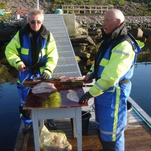 DSC03087  Bei der Arbeit.