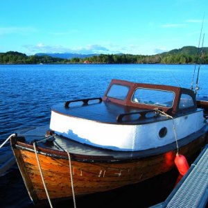 DSC 0100 Unsere Dieselschnecke