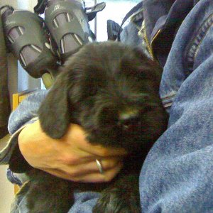 27092006202 001 edited