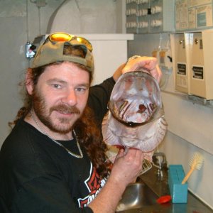 Schweden Sommer 05 069