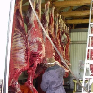 schweden mit marcel okt.02 058