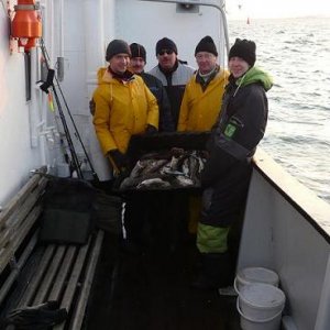 Angeln in Sassnitz 2008 026