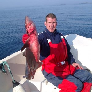 Großer Dornhai nördlich der Insel vor den Schären.