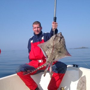 Schöner Rochen aus 30 Metern mit Fischfetzen.