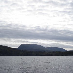 DSC00834