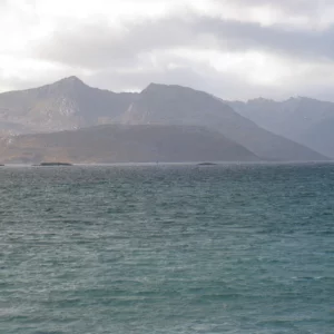 Sommaröy  Kvalöya 2009