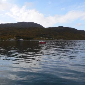 Die Bucht bei Sandneshamn , Bogebukta vor dem Haus