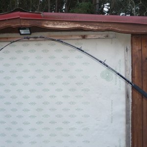 Melton Tackle GB-870 30-40 lbs
Länge: 2,10 m
Belastung: 3kg ; 43°