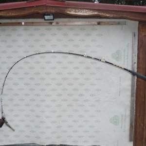 Shimano Antares Braid Boat 30-50 lbs
Länge: 2,21 m
Belastung: 3kg ; 29°