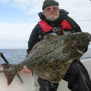 20kg-kveite aus torsvag - gefangen im mai 2009 auf der tour mit stefan lühring