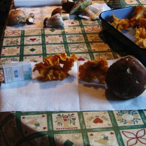 URLAUB  September 2004 028