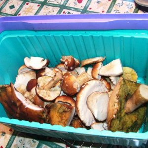 URLAUB  September 2004 031