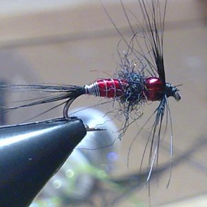 Bild099
Hayabusa Nympenhaken 12