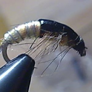 Bild102
Hayabusa CZ Nympfenhaken 10