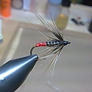 Bild073
Nassfliege 
Hayabusa Nympfh 10