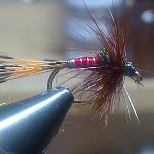 Bild107
Nassfliege 12 Haken