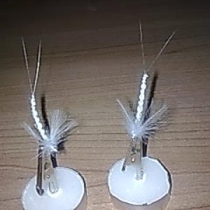 Bild056
Maifliegen Körper Foarm zurech geschnitten Flügel CDC Federn grau
 10 Trockenfliegenhaken Firma eigene Wahl