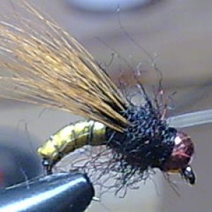 Bild115