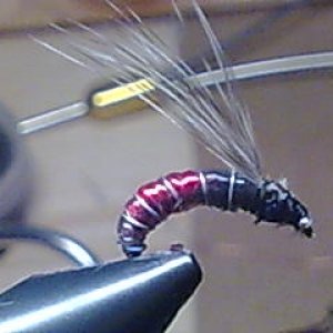 Bild118