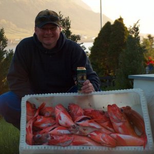 Rote Grütze mit Pils