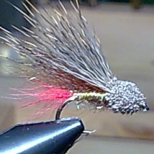 Muddler
 10 Hayabusa Schwänchen Polarfuchs Rot, Körper Ice Dub Golden Brouwn von Hareline 1.Schwinge Polarfuchs braun Kopf Rehhaar Winter Natur